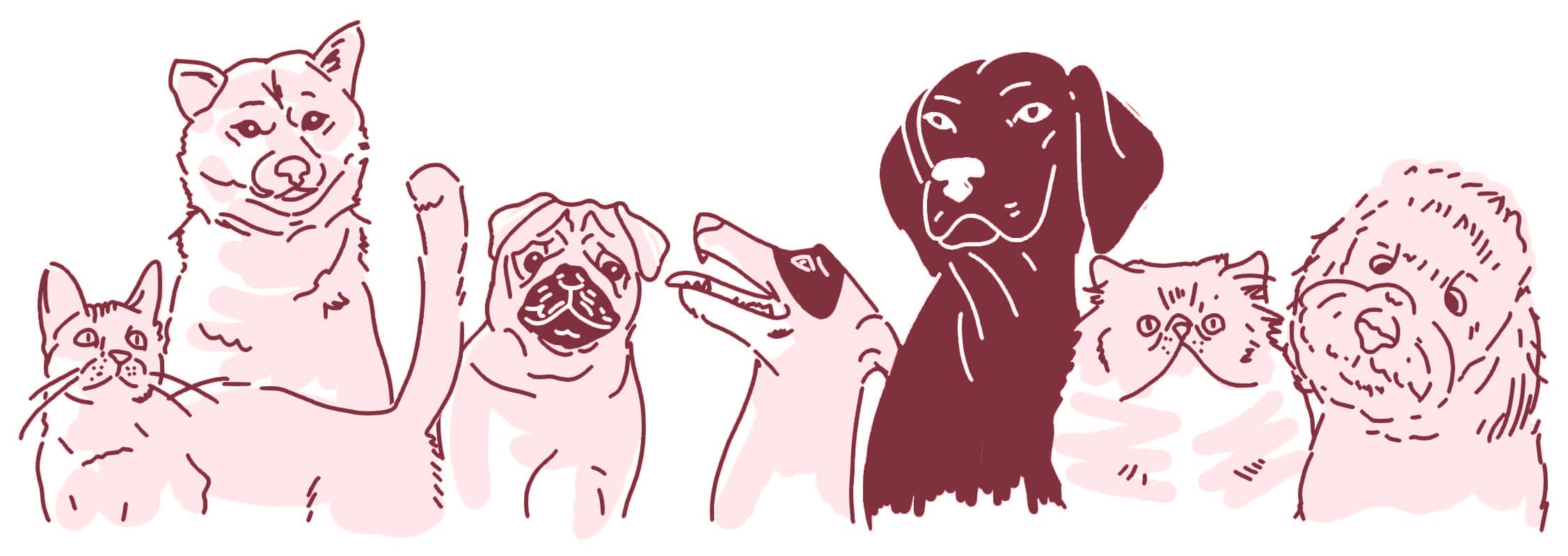 Pets felizes - ilustração de cães e gatos